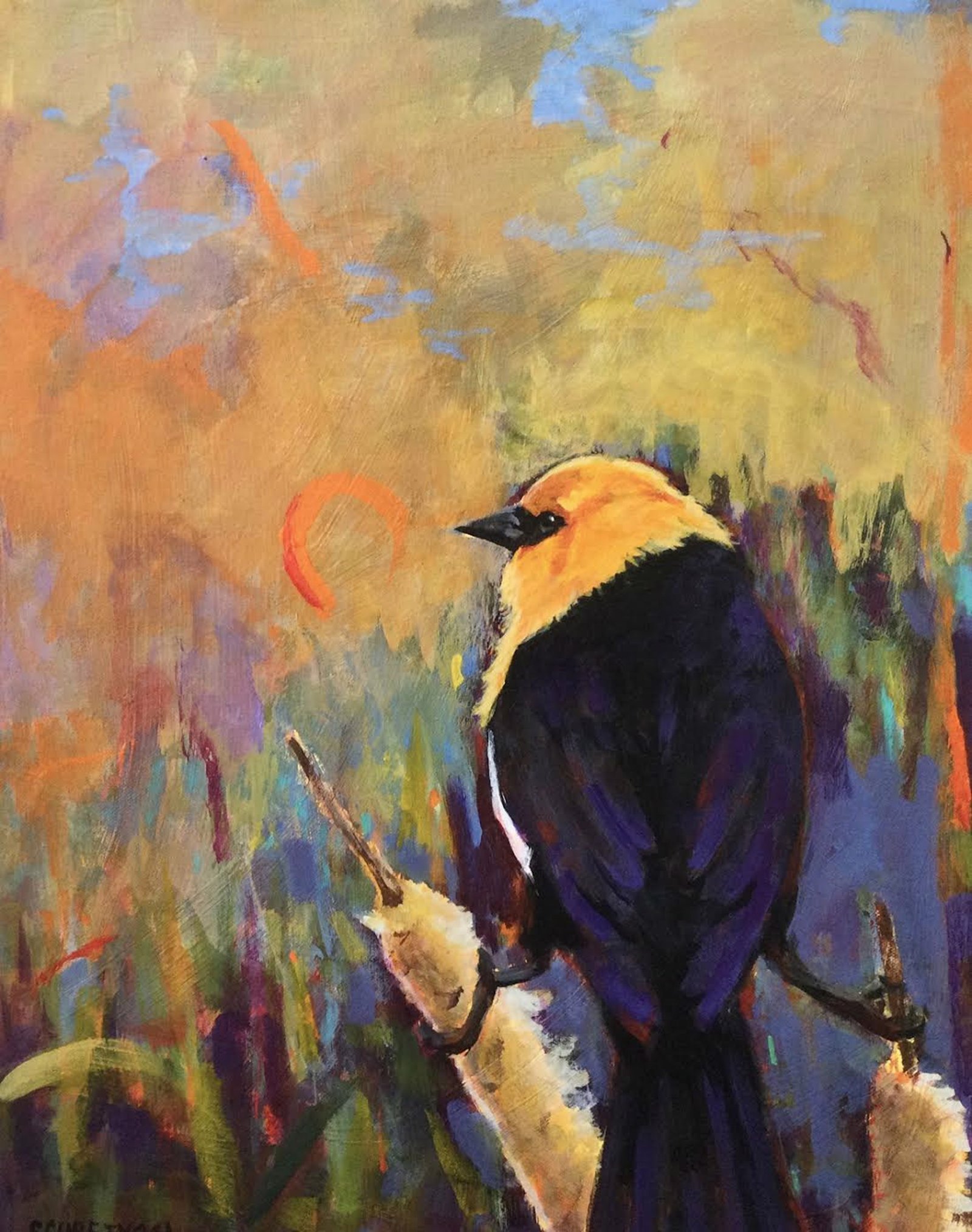 Wetlands by Anne Schreivogl