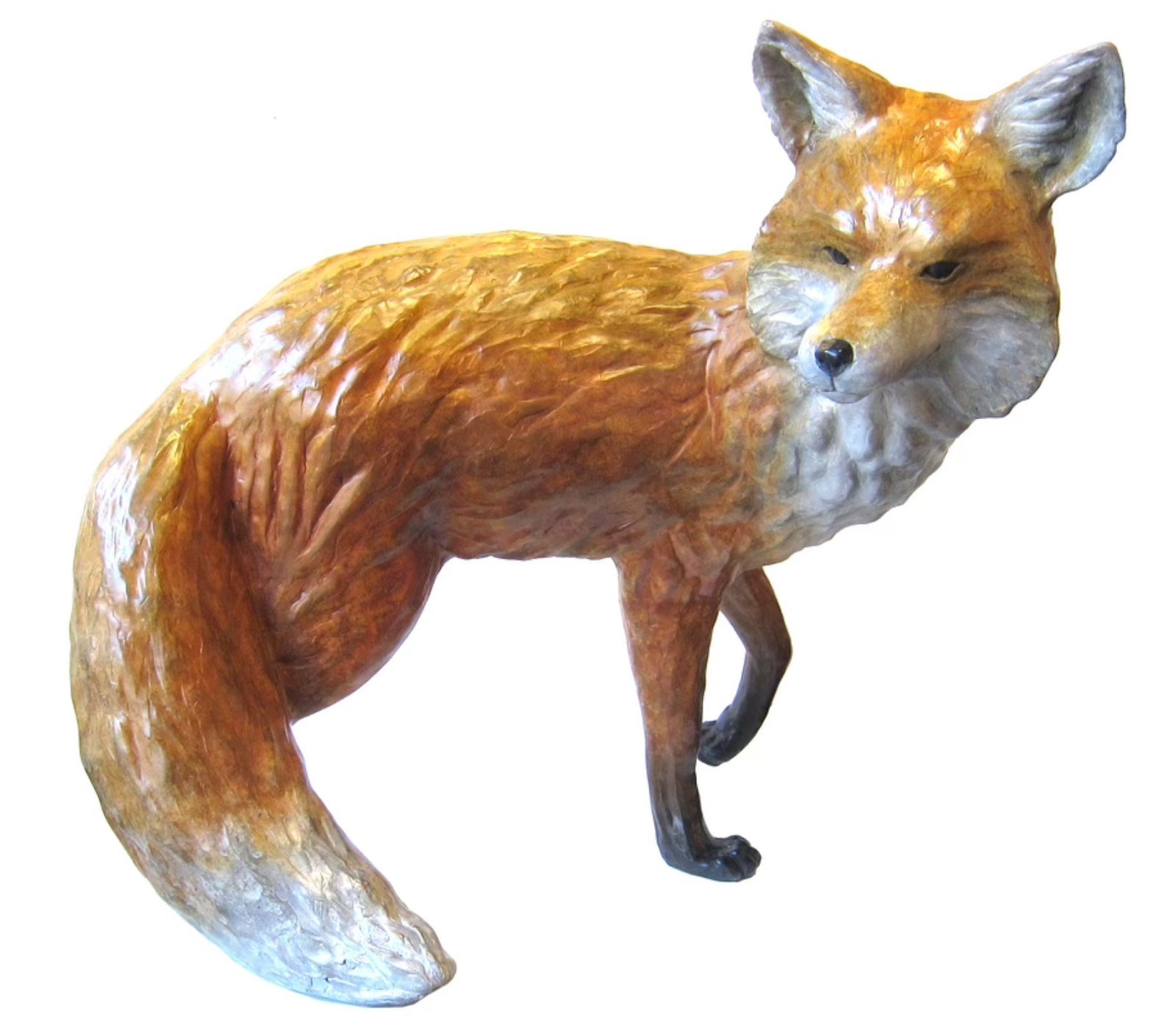Fox 2/15 by Barbara Duzan