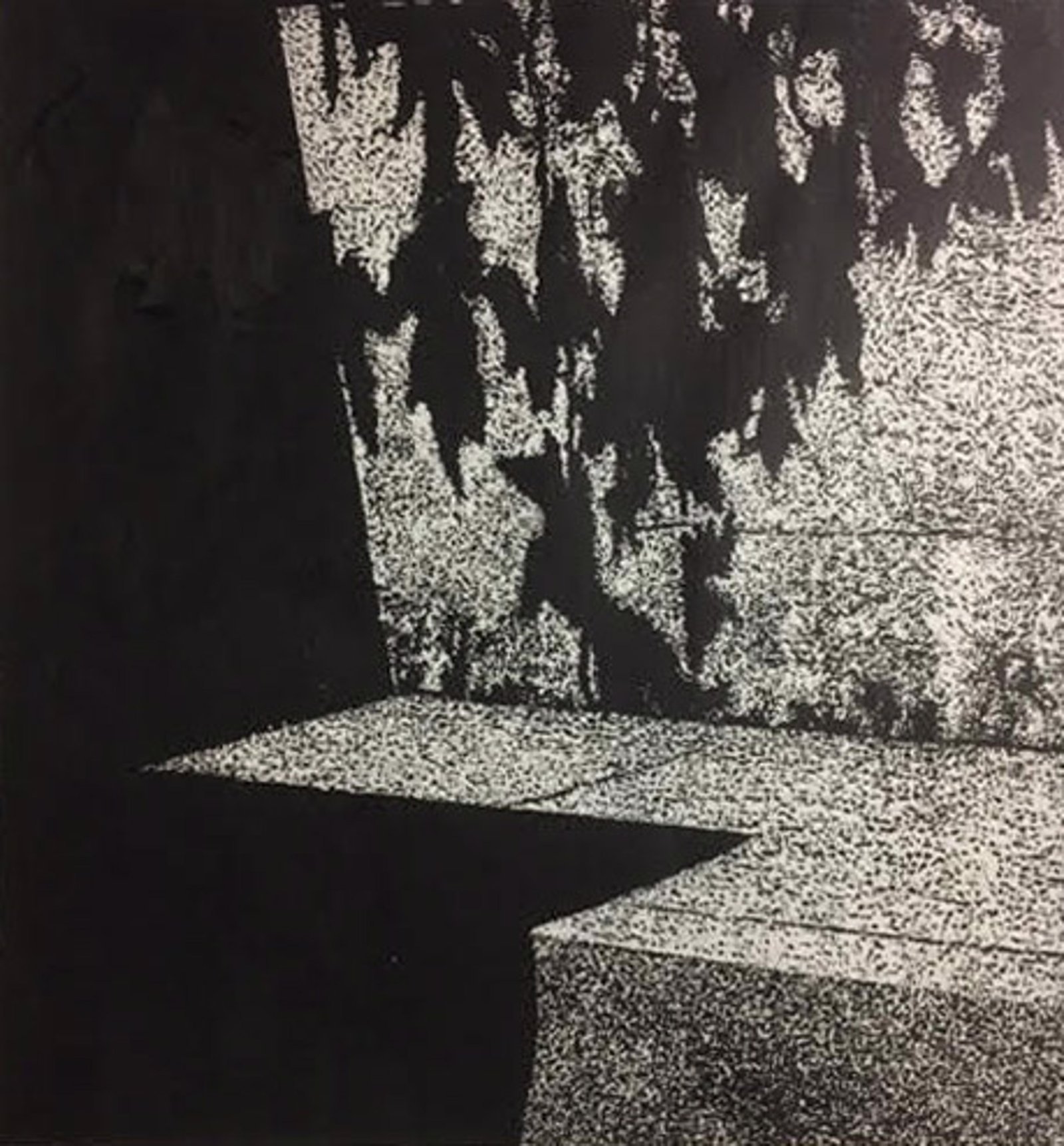 Shadows and Leaves by Gary Groves by Gary Groves