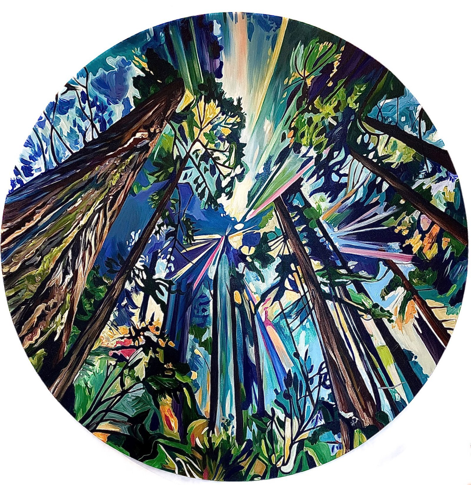Forest Daybreak by Taralee Guild by Taralee Guild