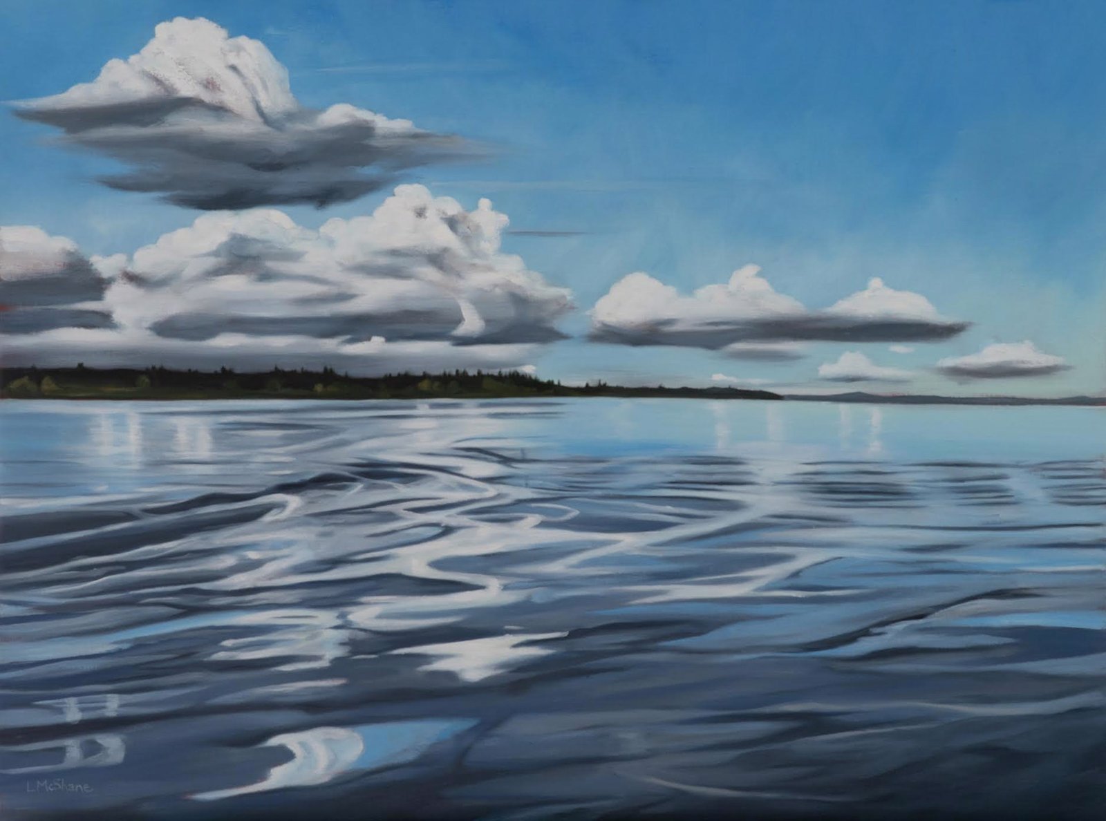 Reflections on The Point by Lisa McShane