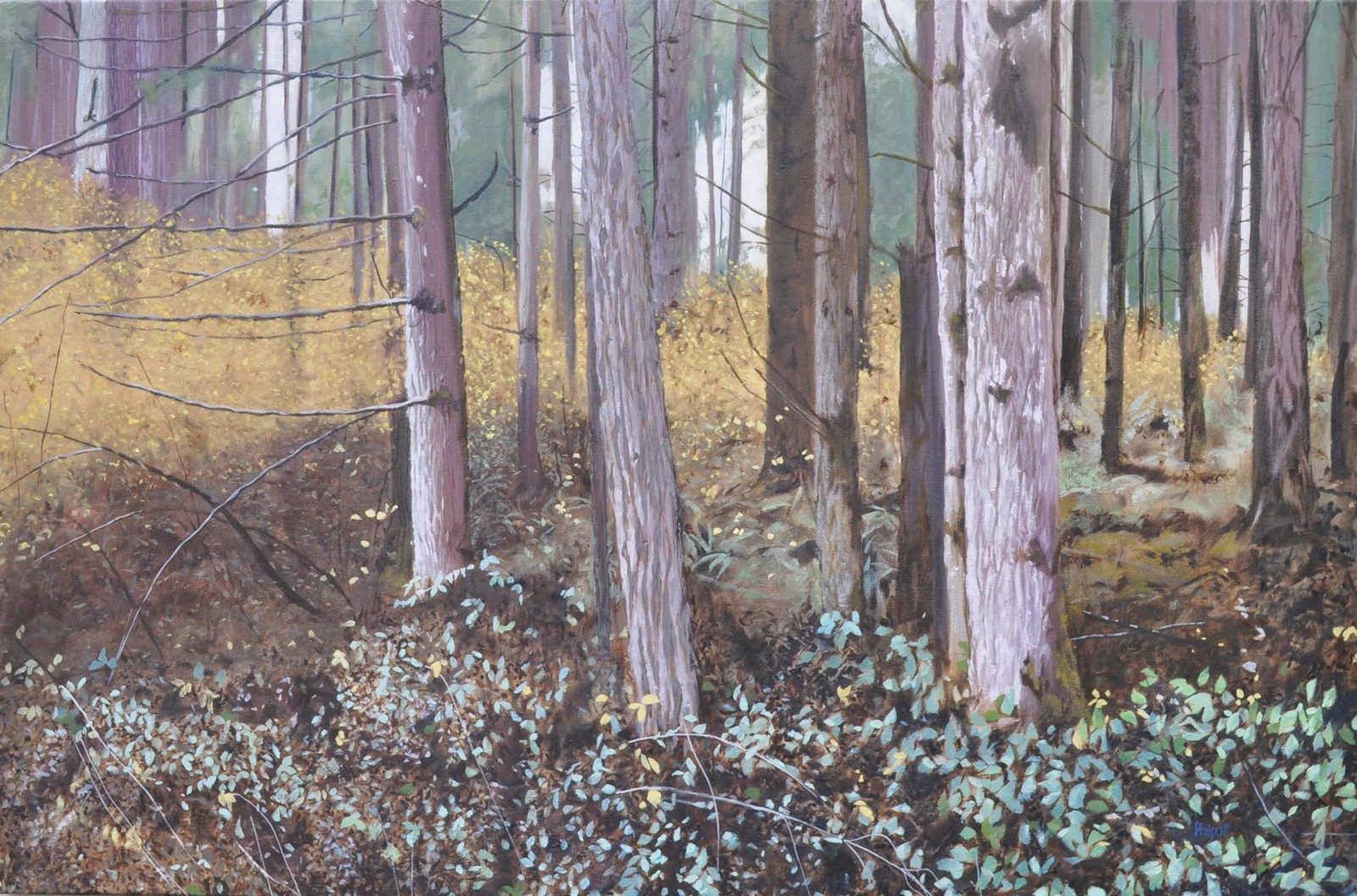 Forested by Neal Philpott