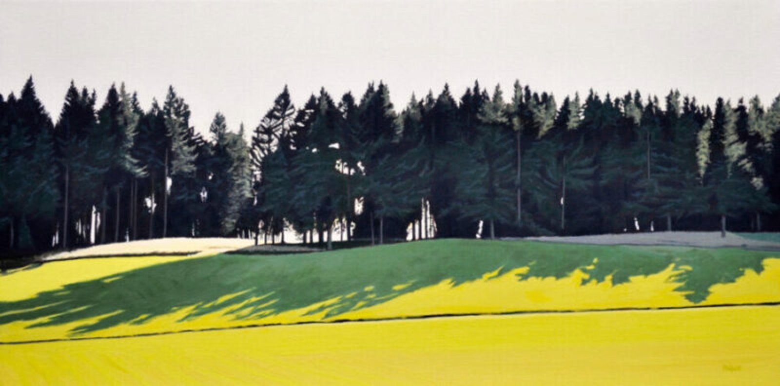 Splayed Shadow by Neal Philpott