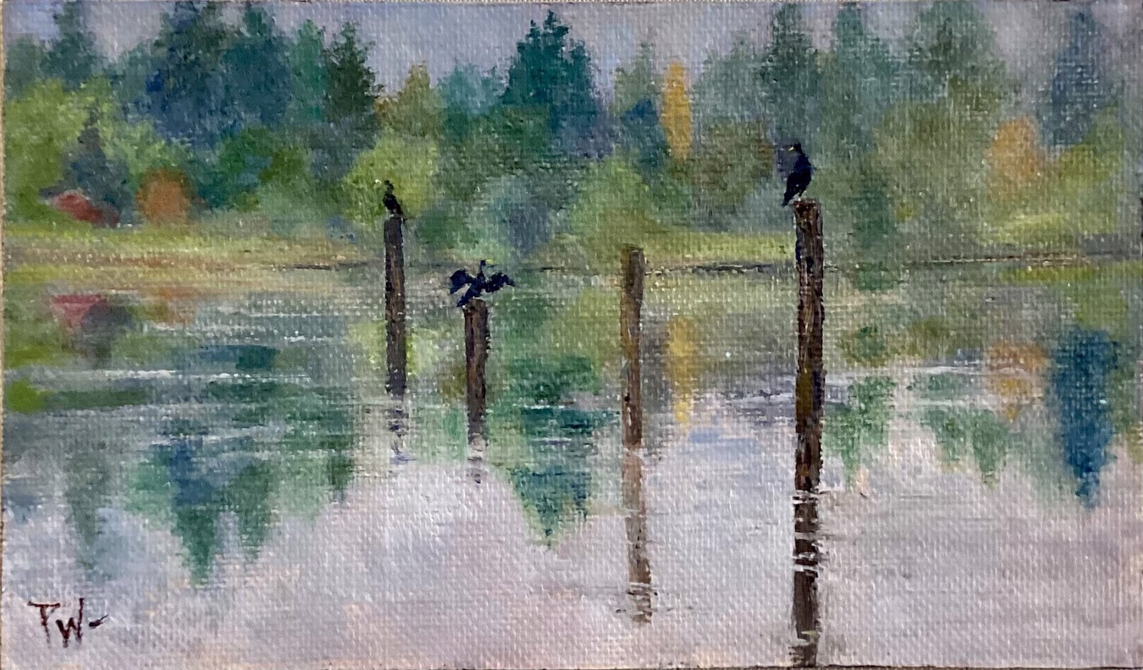 Perched on Eagle Harbor by Pamela Wachtler