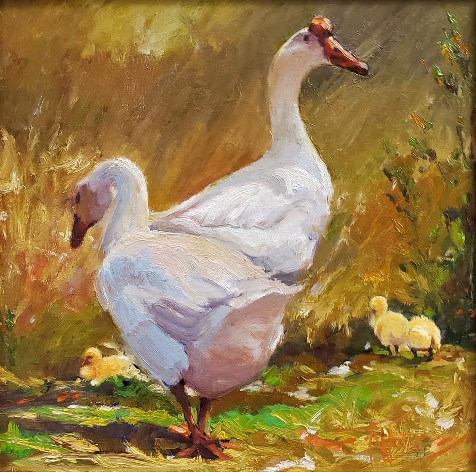 Gander Care by Robin Weiss