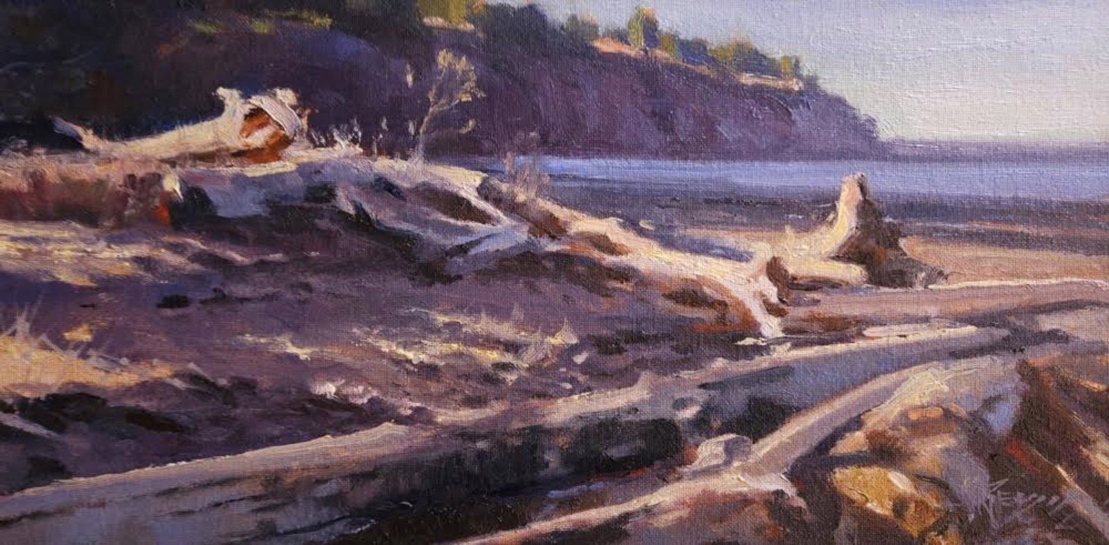 Peninsula Drift by Robin Weiss