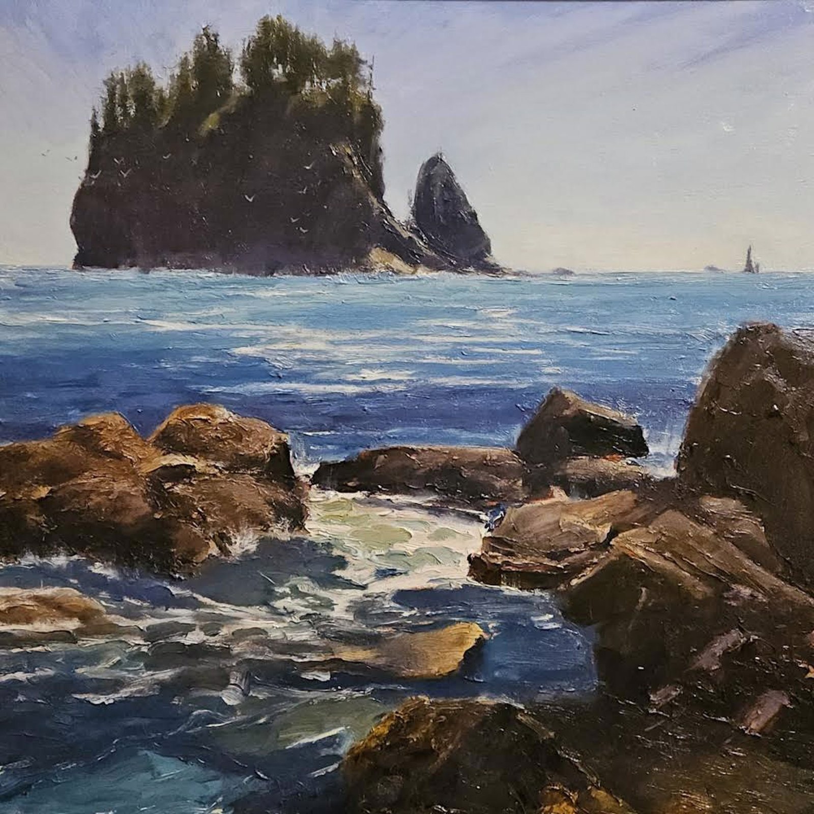 The Pacific Coast La Push by Robin Weiss