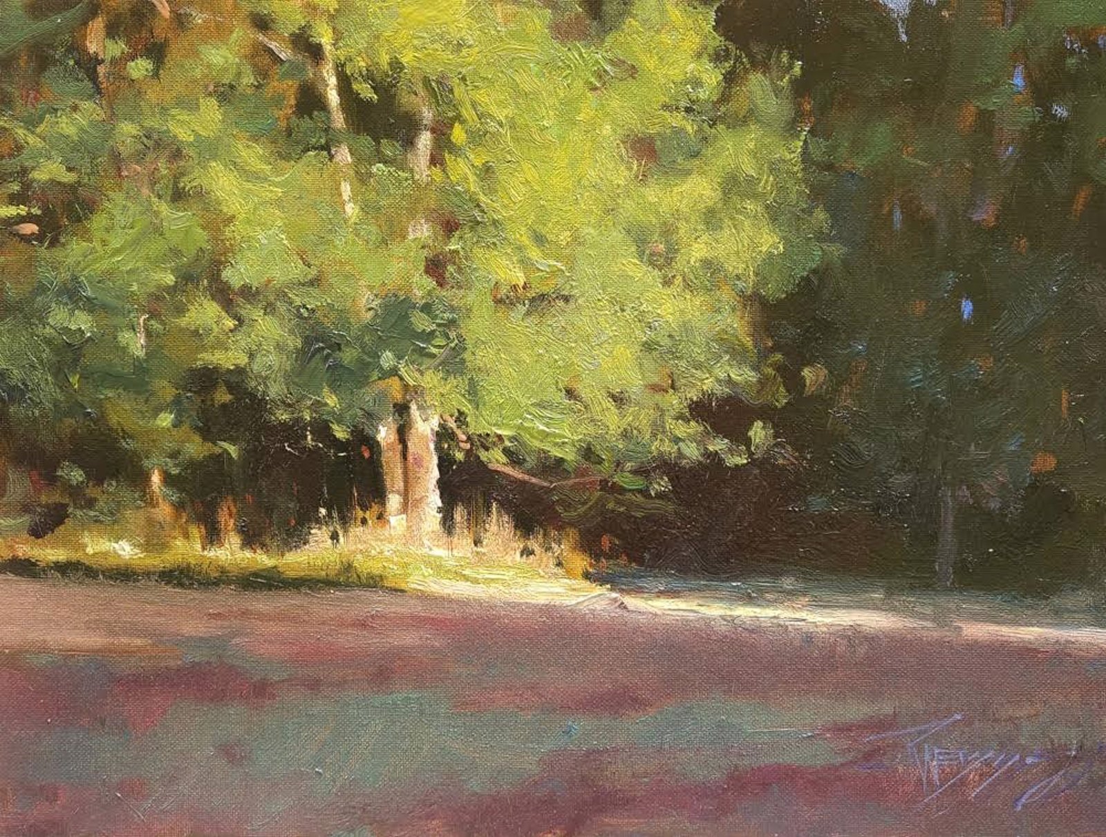 Tree Light by Robin Weiss