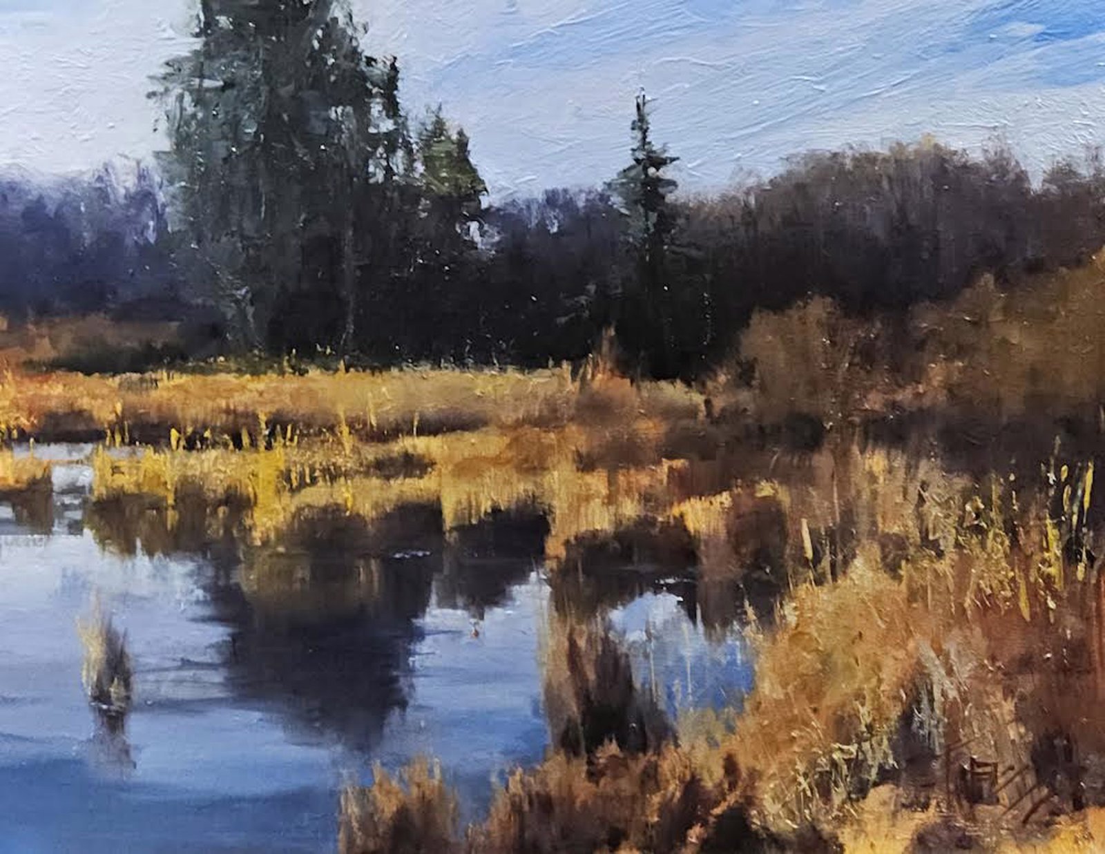 Washington Wetlands by Robin Weiss