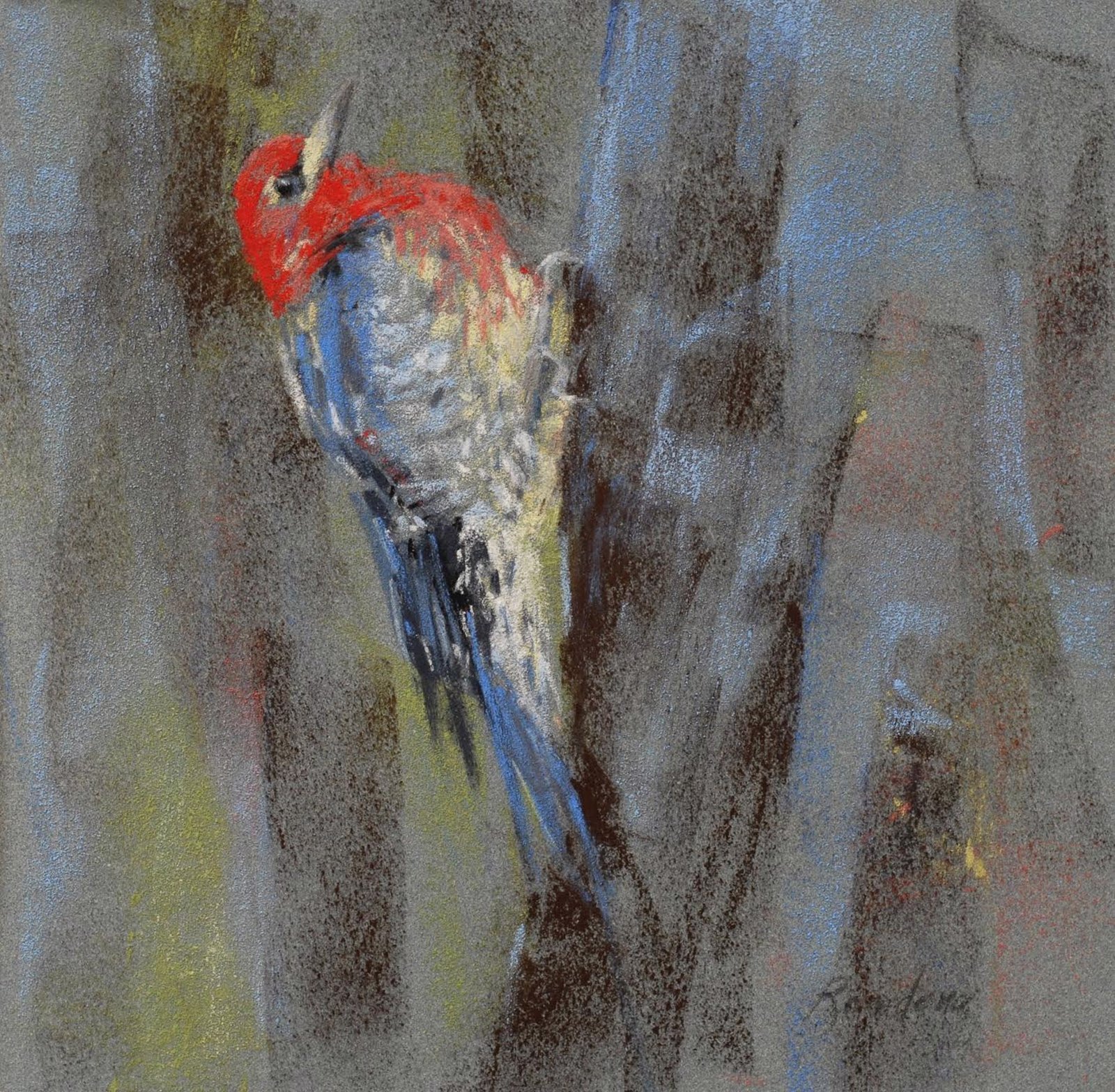 Red Breasted Sapsucker, 2023 by Randena Walsh
