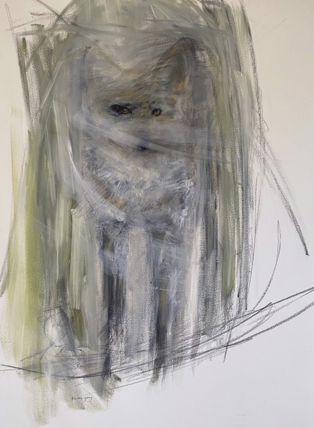 Glimpse | Coyote by Theresa Gray by Theresa Gray