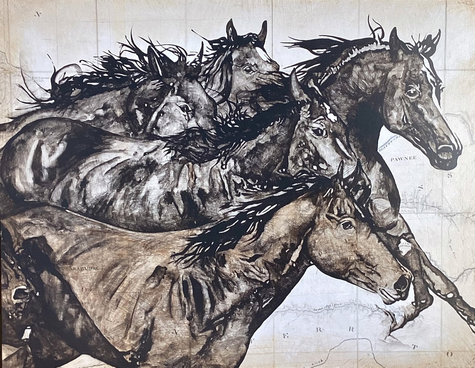 Wild Horses by Will Armstrong